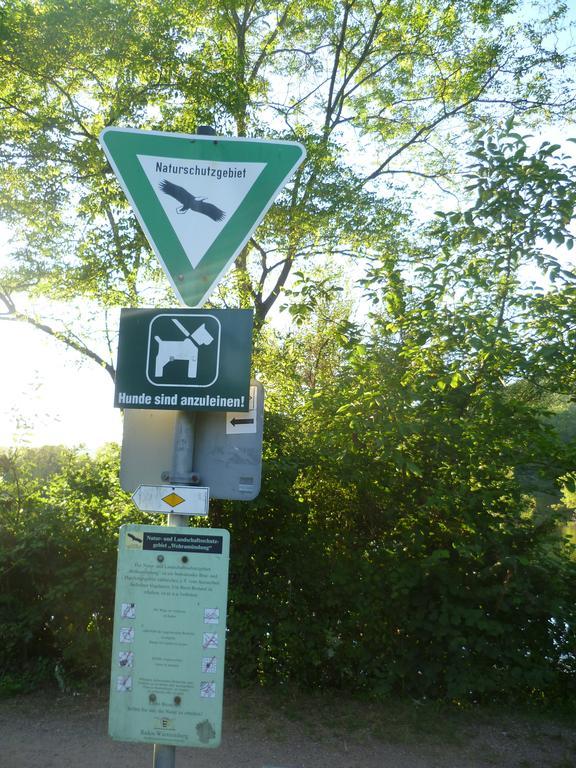 Appartamento Storchennest Bad Säckingen Esterno foto