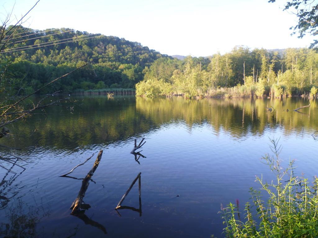 Appartamento Storchennest Bad Säckingen Esterno foto