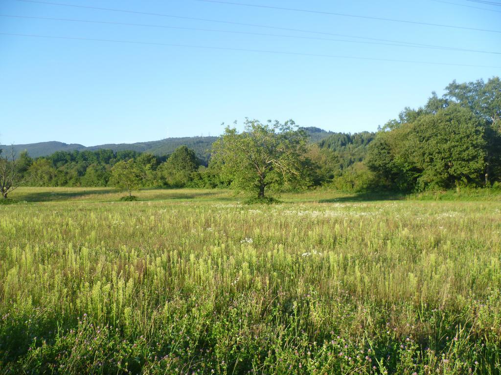 Appartamento Storchennest Bad Säckingen Esterno foto