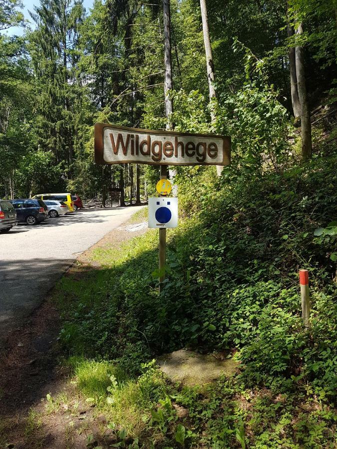 Appartamento Storchennest Bad Säckingen Esterno foto