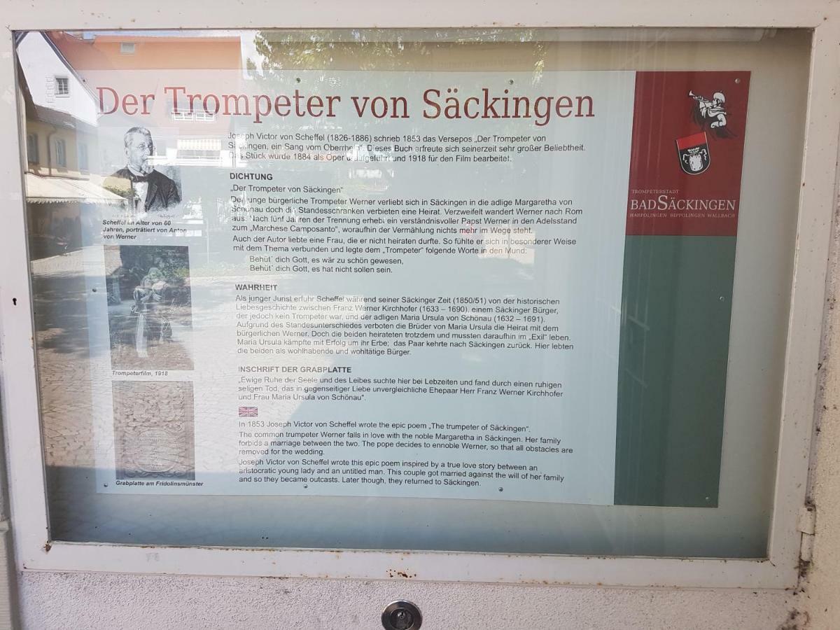 Appartamento Storchennest Bad Säckingen Esterno foto