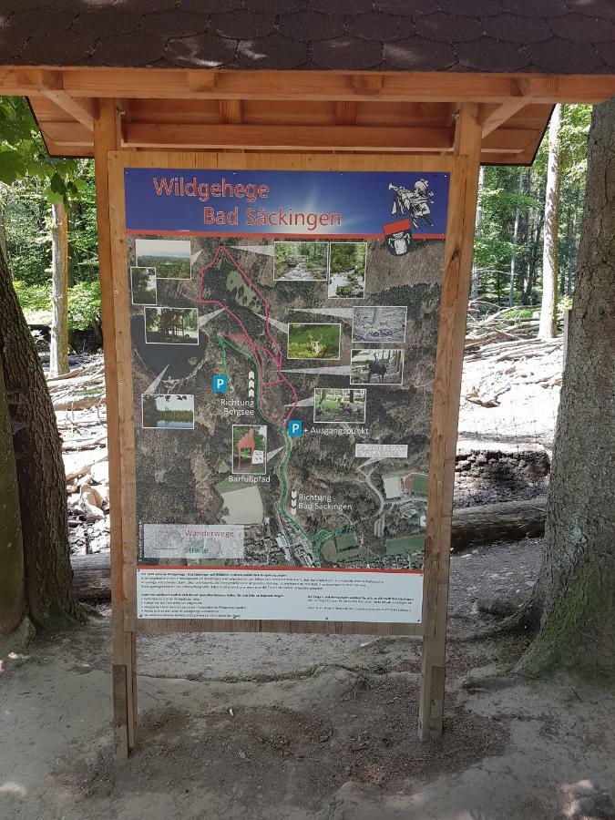 Appartamento Storchennest Bad Säckingen Esterno foto