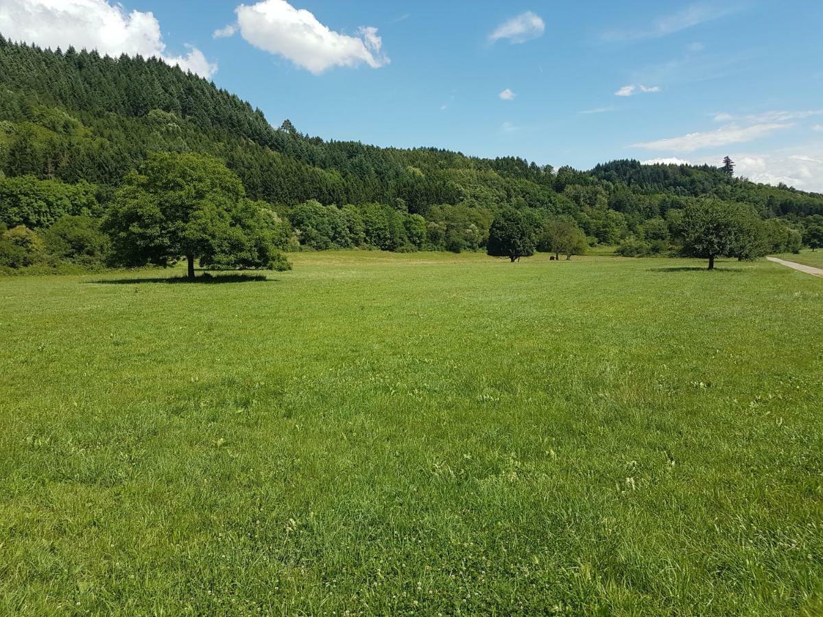 Appartamento Storchennest Bad Säckingen Esterno foto