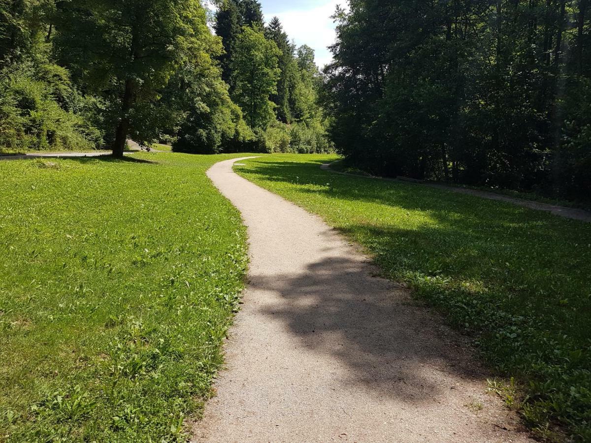 Appartamento Storchennest Bad Säckingen Esterno foto